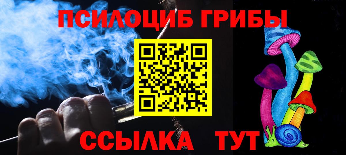 Псилоцибиновые грибы Magic Shrooms  Вход с VPN  Шумерля  Псилоцибиновые грибы Magic Shrooms 